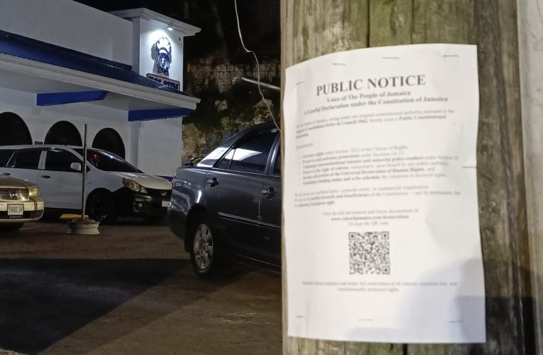 Rights Activation Outdoor Public Notice – Mandeville-Post-Front-of-Holsum-Bakery