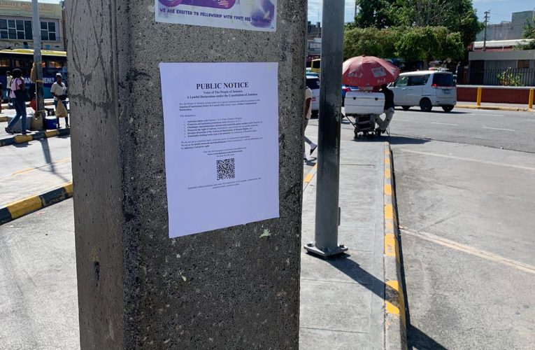 Public Rights Activation – Public Flyer in Downtown-Kingston