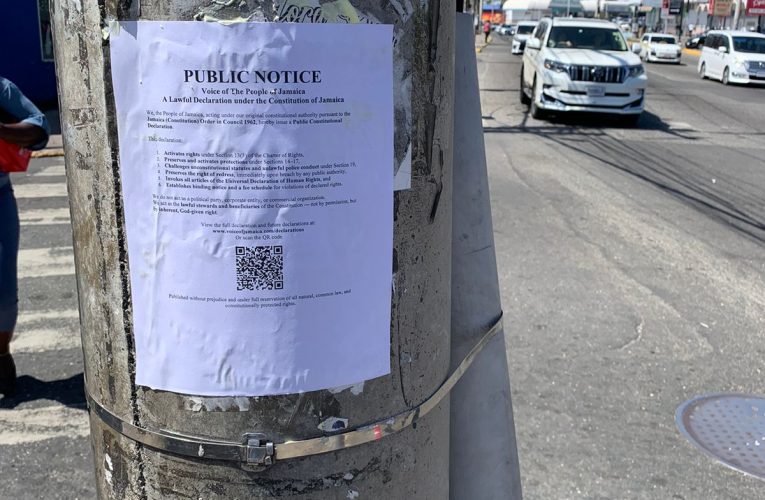 Public Rights Activation – Public Flyer in Haft-way-tree-ST-Andrew